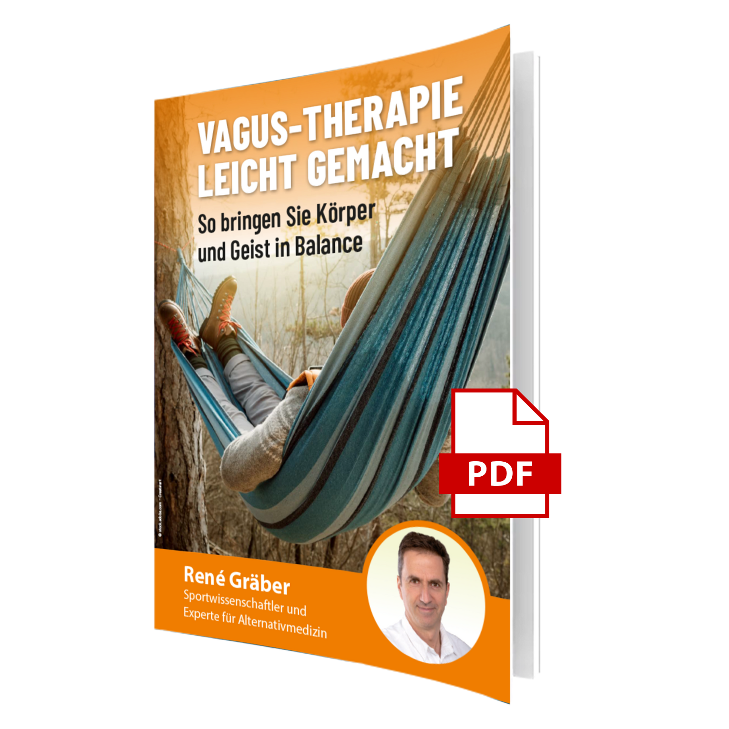 cover-vagusnerv-pdf-icon.png